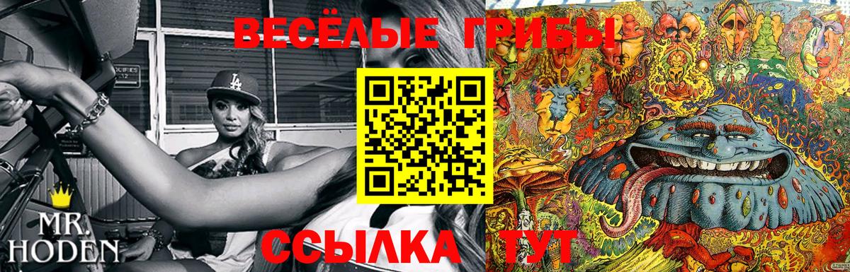 Псилоцибиновые грибы MAGIC MUSHROOMS Губкин