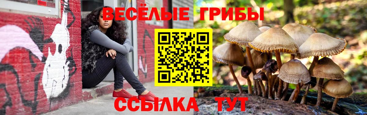 Псилоцибиновые грибы мицелий  Псилоцибиновые грибы Psilocybe  Вход с VPN  Губкин 